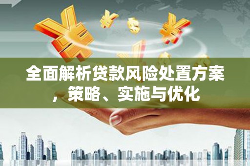 公安全面解析贷款风险处置方案，策略、实施与优化
