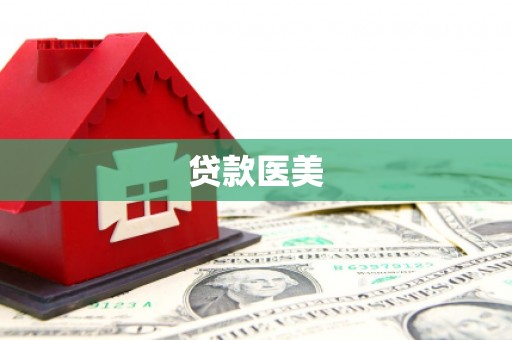 公安贷款医美