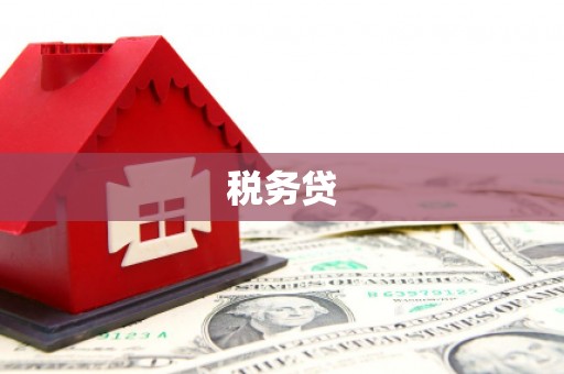 公安税务贷