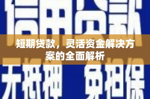 公安短期贷款，灵活资金解决方案的全面解析