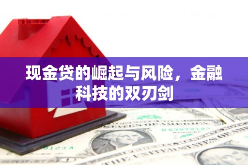 公安现金贷的崛起与风险，金融科技的双刃剑