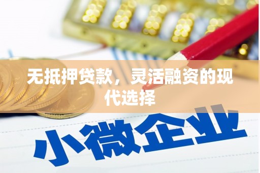公安无抵押贷款，灵活融资的现代选择