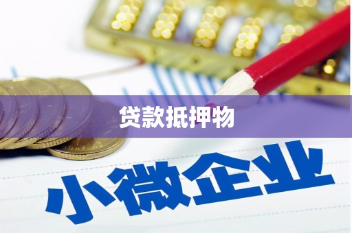 公安贷款抵押物