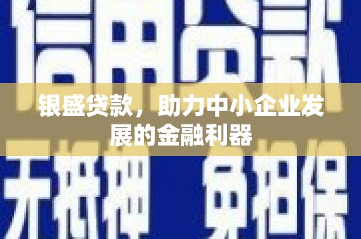 公安银盛贷款，助力中小企业发展的金融利器