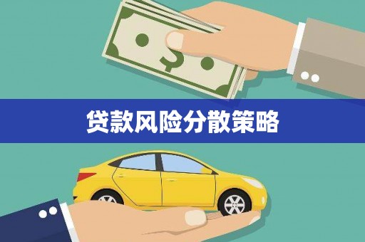 公安贷款风险分散策略