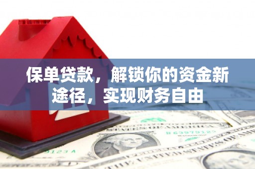 公安保单贷款，解锁你的资金新途径，实现财务自由