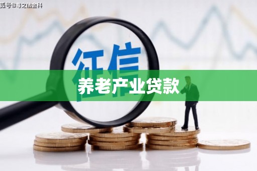 公安养老产业贷款