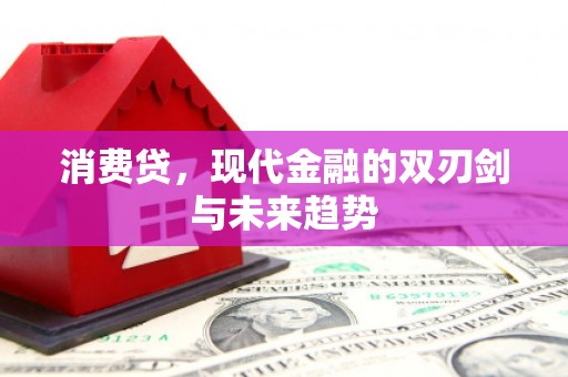 公安消费贷，现代金融的双刃剑与未来趋势