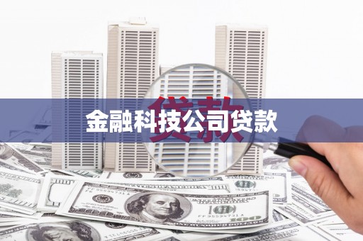 公安金融科技公司贷款
