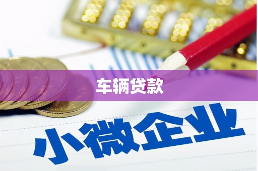 公安车辆贷款