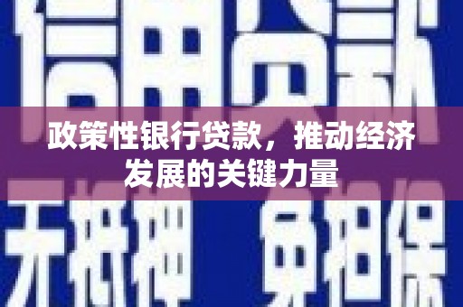 公安政策性银行贷款，推动经济发展的关键力量