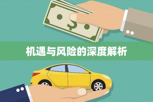 公安机遇与风险的深度解析