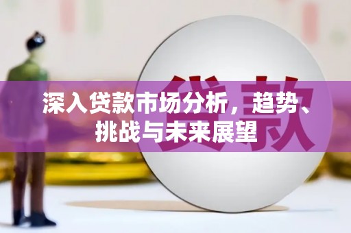 公安深入贷款市场分析，趋势、挑战与未来展望