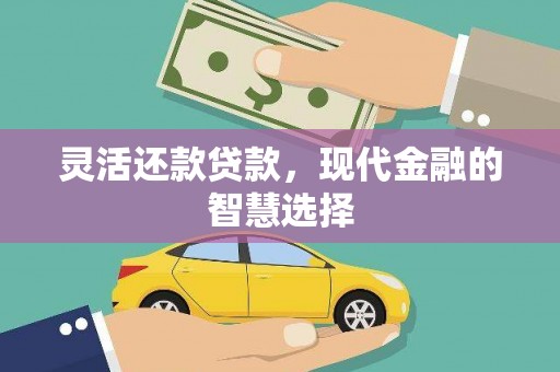 公安灵活还款贷款，现代金融的智慧选择