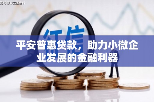 公安平安普惠贷款，助力小微企业发展的金融利器