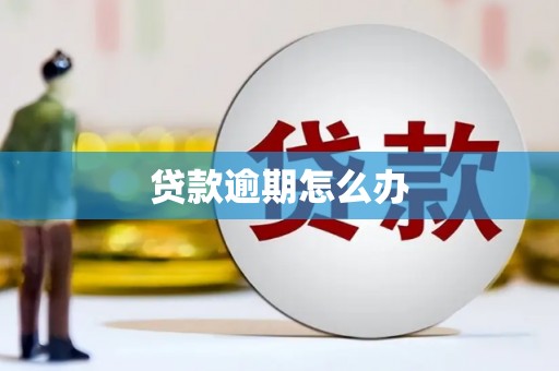 公安贷款逾期怎么办