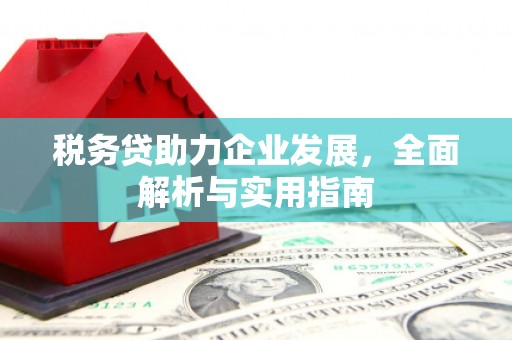 公安税务贷助力企业发展，全面解析与实用指南
