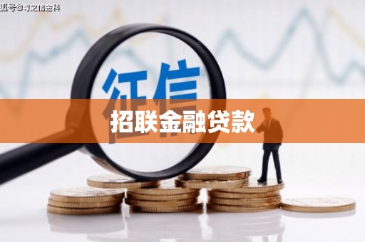 公安招联金融贷款