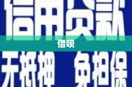 公安借呗