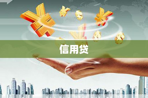 公安信用贷