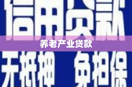 公安养老产业贷款