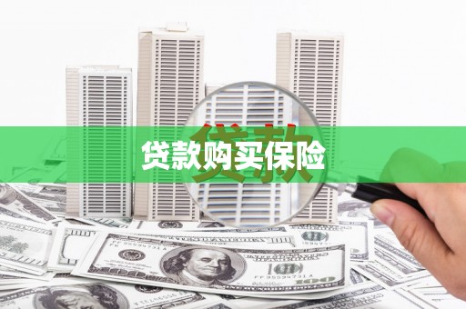 公安贷款购买保险