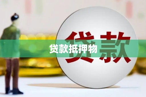公安贷款抵押物