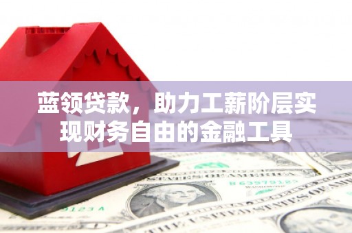 公安蓝领贷款，助力工薪阶层实现财务自由的金融工具