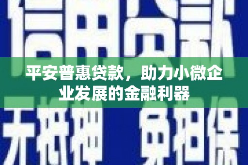 公安平安普惠贷款，助力小微企业发展的金融利器