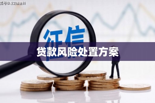 公安贷款风险处置方案