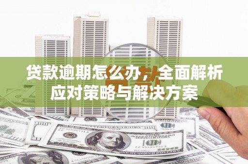 公安贷款逾期怎么办，全面解析应对策略与解决方案