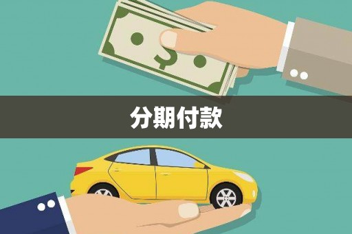 公安分期付款