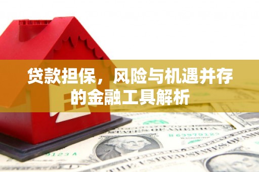 公安贷款担保，风险与机遇并存的金融工具解析
