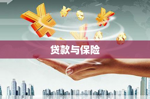 公安贷款与保险