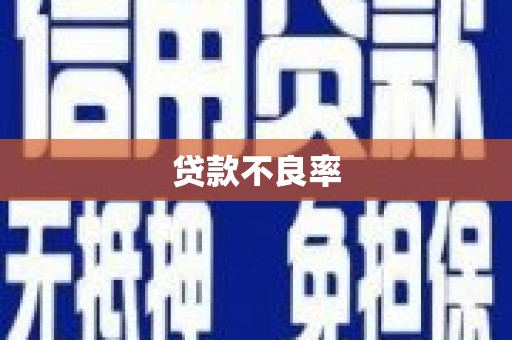 公安贷款不良率