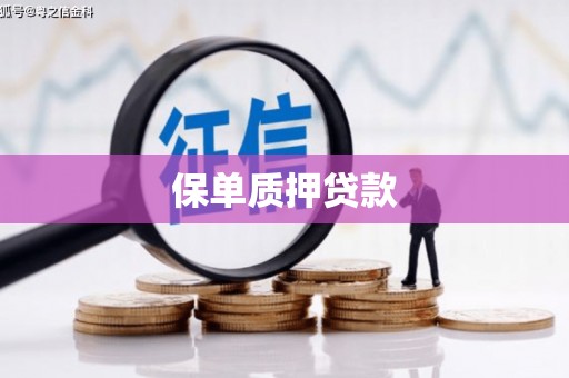 公安保单质押贷款