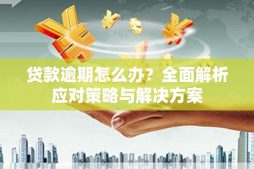 公安贷款逾期怎么办？全面解析应对策略与解决方案