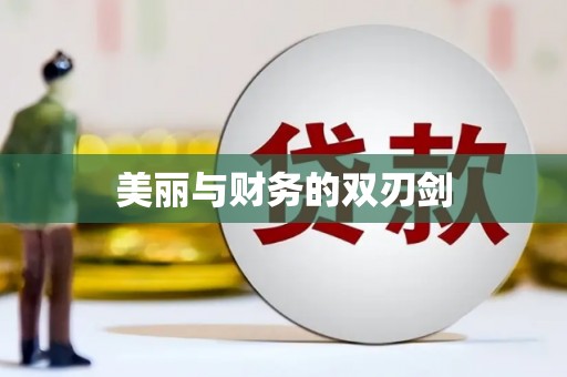 公安美丽与财务的双刃剑
