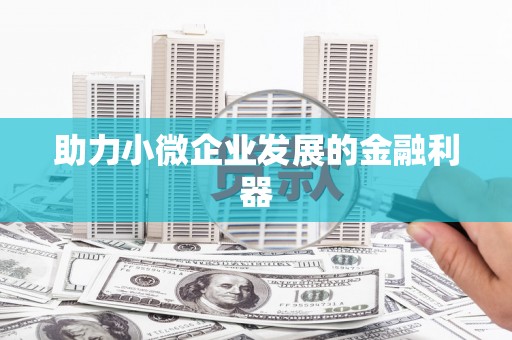 公安助力小微企业发展的金融利器