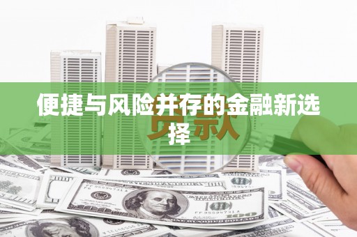 公安便捷与风险并存的金融新选择