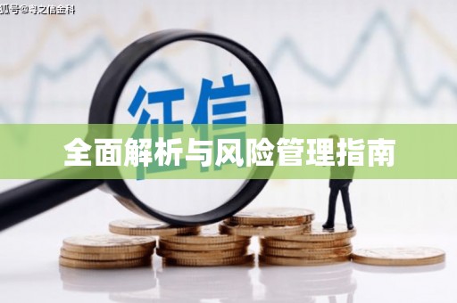 公安全面解析与风险管理指南