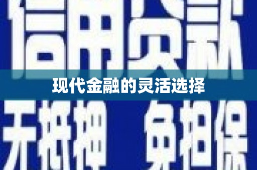 公安现代金融的灵活选择