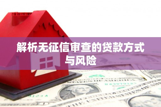 公安解析无征信审查的贷款方式与风险