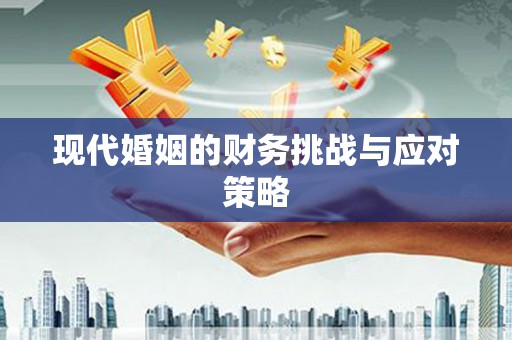 公安现代婚姻的财务挑战与应对策略