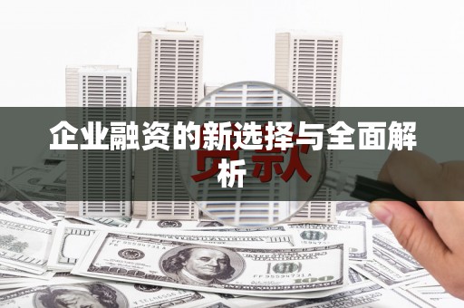 公安企业融资的新选择与全面解析