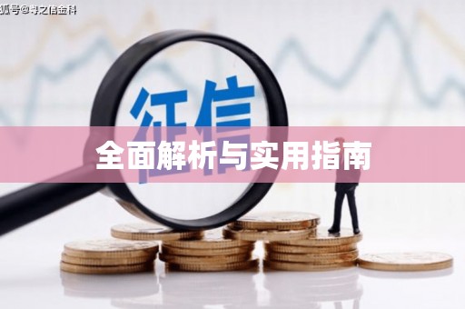 公安全面解析与实用指南