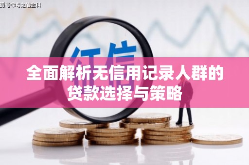 公安全面解析无信用记录人群的贷款选择与策略