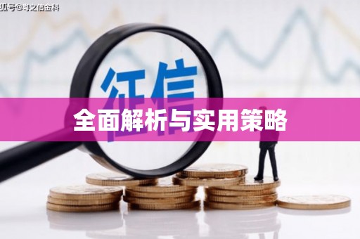 公安全面解析与实用策略