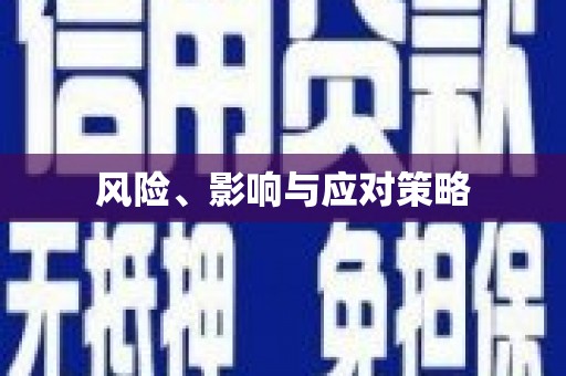 公安风险、影响与应对策略
