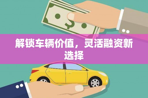 公安解锁车辆价值，灵活融资新选择